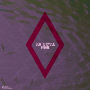 Sentic Cycle – Escape [D9REC049]