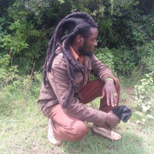 LIBERATION REGGAE RUMBLE.