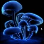 Dj Progdozis – Web-Radio-Rip vom 17.2.2009 (Part 3) episode thumbnail