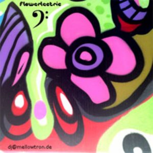 Mellowtron – Flowerlectric