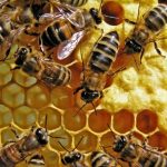 ron.kanditt | Biaenetanz – uneume | Hive, Zueri episode thumbnail