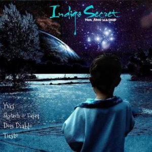 Yves vs Skytech & Fafaq vs Don Diablo & Tiesto-Indigo Secret(Tom Jung MashUp)