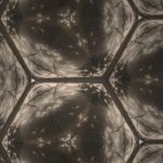 SCHLEGEL – EMMETROP (original Mix) episode thumbnail