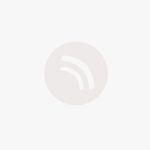 Shindig Saturday 05/30/2015 Podcast 110 by Richard Lewis episode thumbnail