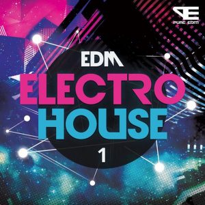 ELECTRO HOUSE DEMO (PRODUCER LOOPS)