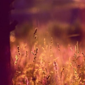 JoshK – Afterlife [Deep House/Chillout Set]