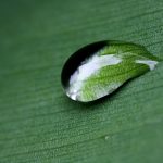 Rain Drop – DJ-JC episode thumbnail