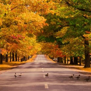 Dopoludnie na InfoVojne s Adrianom 10.11.2025