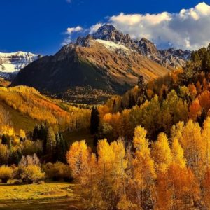 Dopoludnie na InfoVojne s Adrianom 24.11.2025