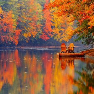 Dopoludnie na InfoVojne s Adrianom 26.11.2025