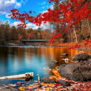 Dopoludnie na InfoVojne s Adrianom 27.11.2025