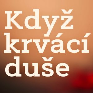 BRATRŮM A SESTRÁM ZA ZDÍ