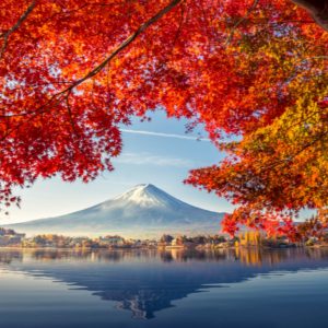 Dopoludnie na InfoVojne s Adrianom 4.12.2025