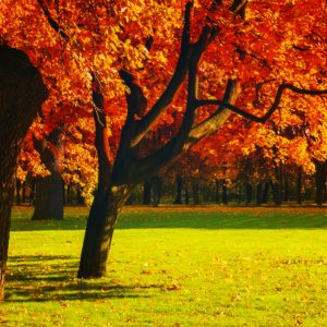 Dopoludnie na InfoVojne s Adrianom 9.12.2025