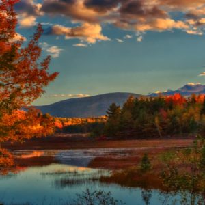 Dopoludnie na Infovojne s Adrianom 15.12.2025