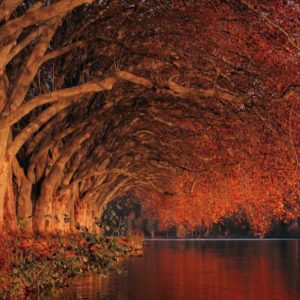 Dopoludnie na Infovojne s Adrianom 19.12.2025