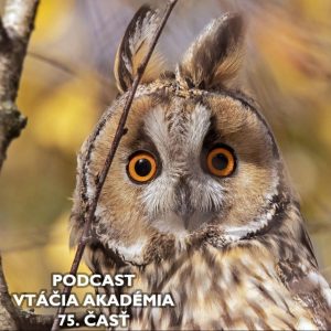 Má 75 rokov a opäť hniezdi!