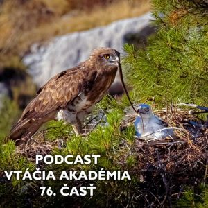 Predstavte si, že aj o vtáčej ríši vznikajú konšpiračné teórie