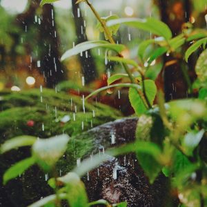 Prečo si Božiu milosť nemusíš kupovať? (14.12.2025)