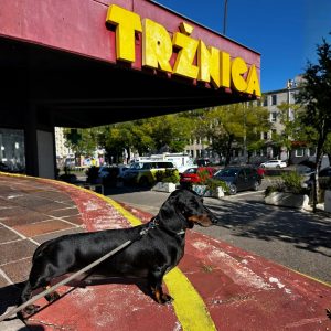 S13E8: SVETOVÉ TRŽNICE – Z nákupov zážitky