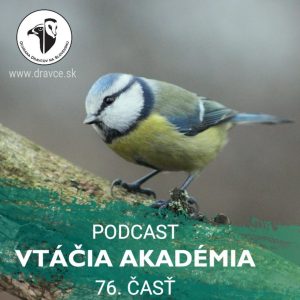 Vtáky sú vlastne mini Terminátori