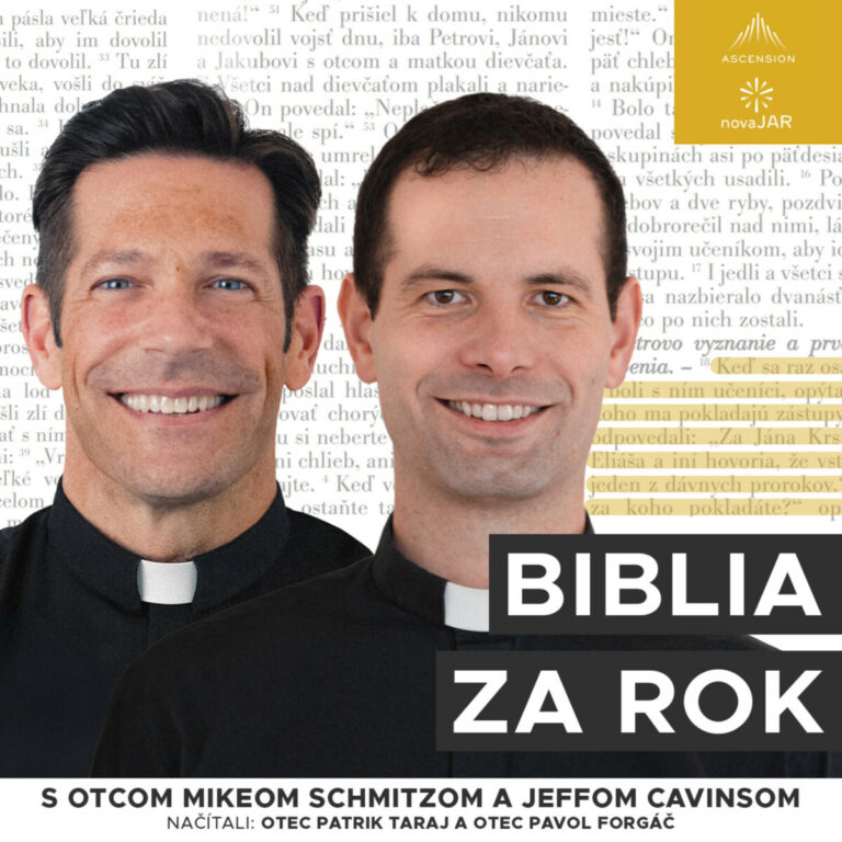 Biblia za rok (s otcom Mikeom Schmitzom)