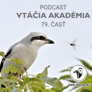 Strakoš napichovač