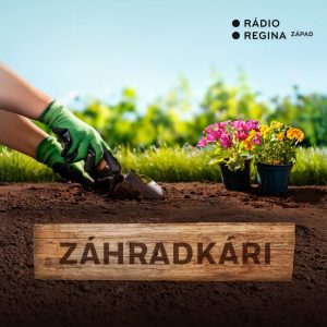 Prezimované rastliny a aktuálne práce v záhrade. (19.2.2026 14:05)