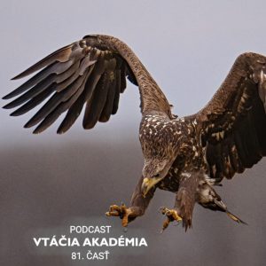 Viete, že existuje antikoncepcia pre vtáky?