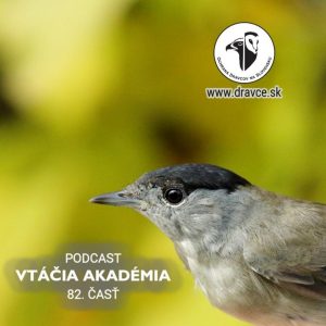 Čáry, máry, príroda. Podľa výskumov dokáže približne 60 % vtákov vedome znížiť svoju telesnú teplotu