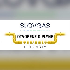 Otvorene o plyne s analytikom S. Pánisom