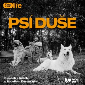 #11: Psi zvládnou víc než lidé. Jak funguje psí fyzioterapie?