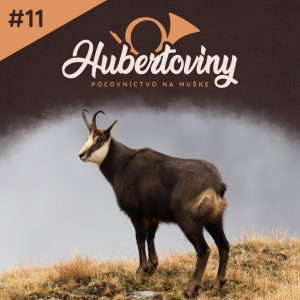 Kamzíky v Slovinsku: príbehy z hôr, na ktoré sa nezabúda