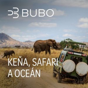 Keňa: safari, Veľká päťka a život v divočine