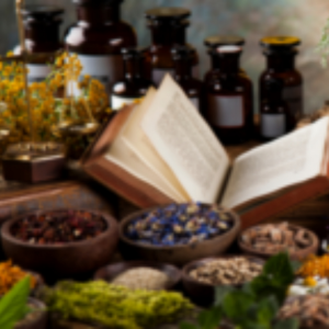 Sezónny receptár – Zdravý človek od hlavy až po päty -nos – nádchovník, prvosienka jarná, ruža šípová