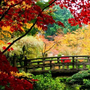 Dopoludnie na Infovojne s Adrianom 2.4.2026