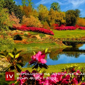 Dopoludnie na InfoVojne s Adrianom 9.4.2026