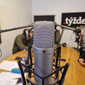 Týždeň s .týždňom: Prečo je celé referendum nedomyslenou akciou? A čo odhalil telefonát Fica s Magyarom?